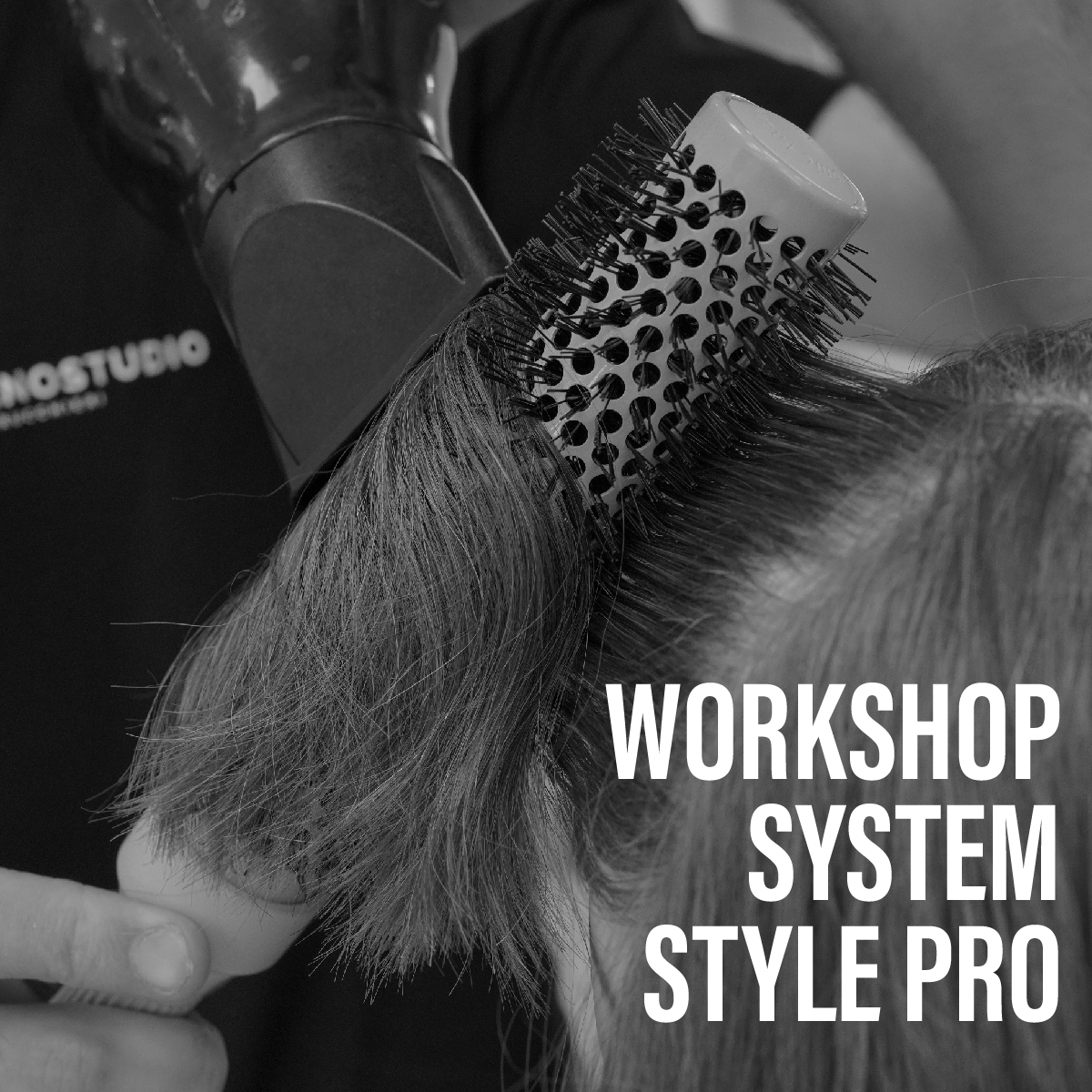 ipp studio- scuola-parruchieri-sezione workshop system style pro